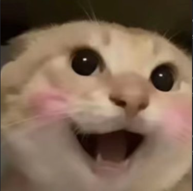 HAJIMI