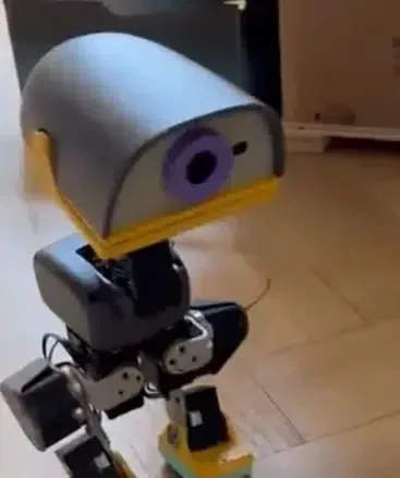 GRAPHITEBO