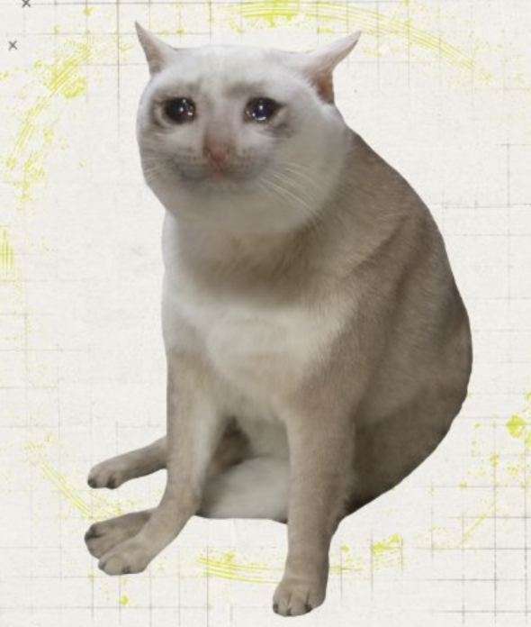 CASHCAT
