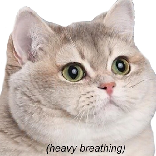 HBCAT