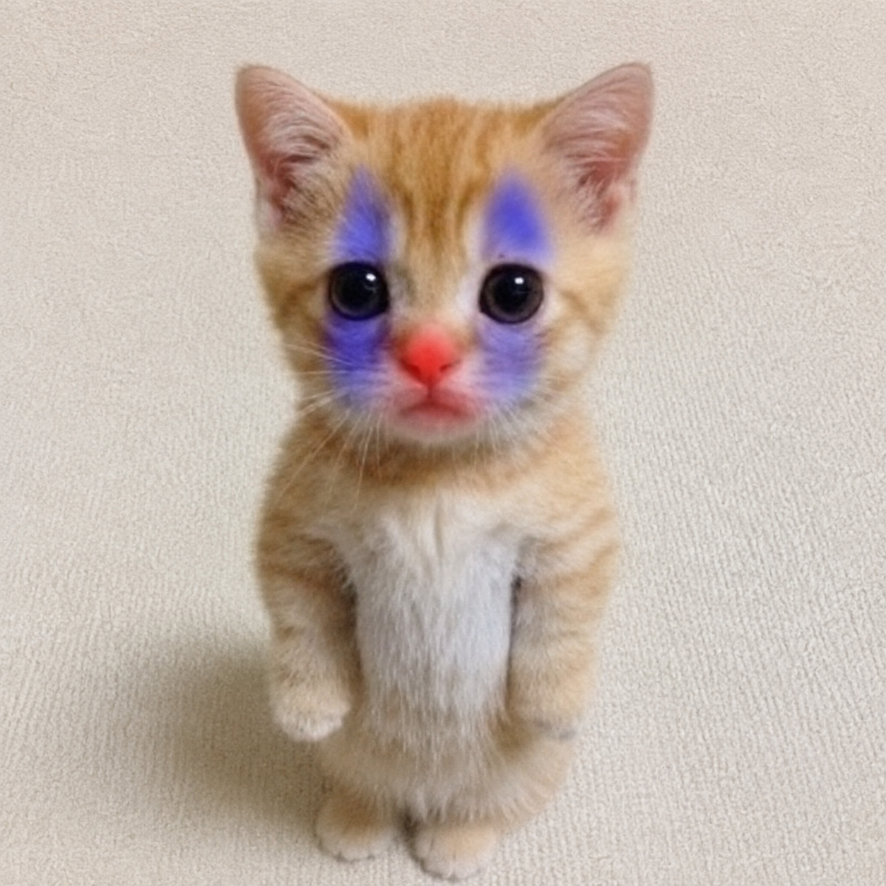 CLOWNCAT