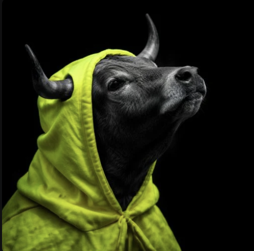 BULL
