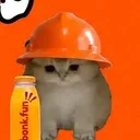 BCAT