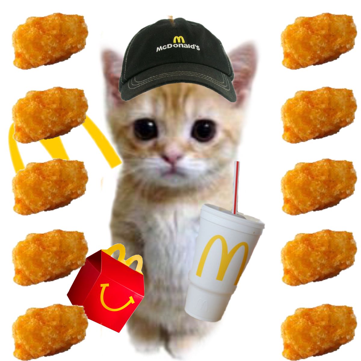 NUGGETS