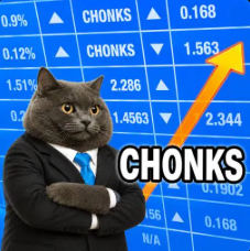 CHONKS