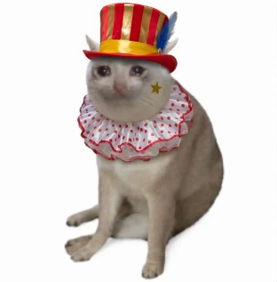 CIRCUSCAT