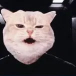 VRAX